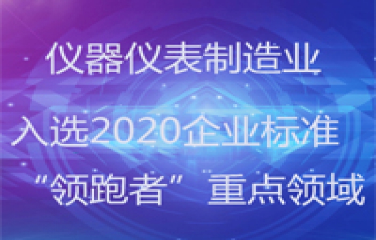 儀器儀表制造業(yè)入選2020企業(yè)標(biāo)準(zhǔn)“領(lǐng)跑者”重點(diǎn)領(lǐng)域